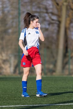 Bild 292 - F Hamburger SV 3 - Blau-Weiss 96 : Ergebnis: 5:1